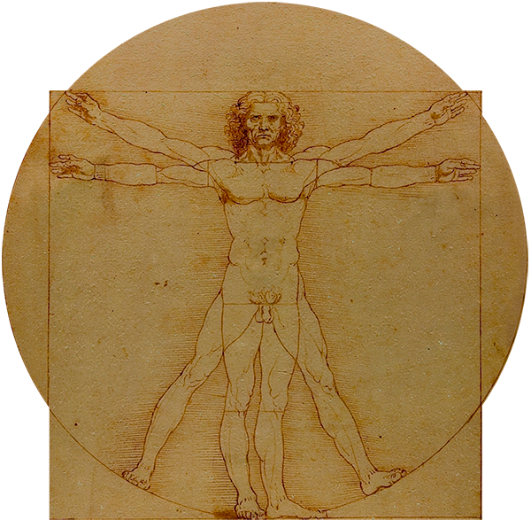 Vitruvian Man